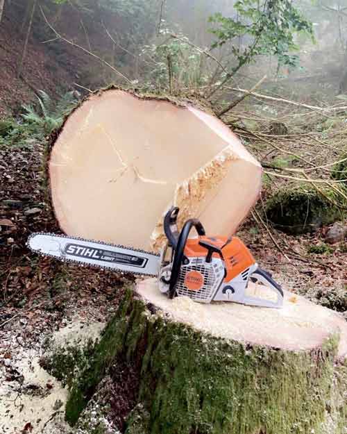 Stihl Forsttechnik Traurig